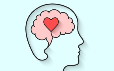 Emotional Wellbeing and Effective Learning Parent Workshop
