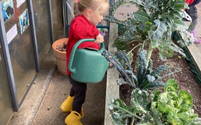 Learning Outdoors